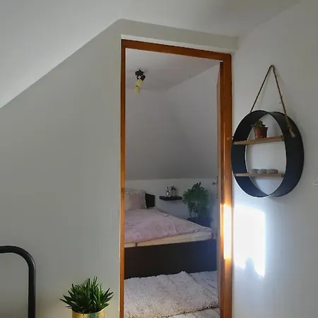 Csuecsoek Vendeghaz Apartment *