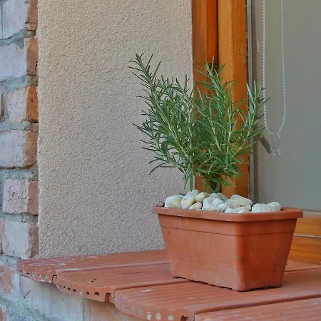 Appartement Csuecsoek Vendeghaz