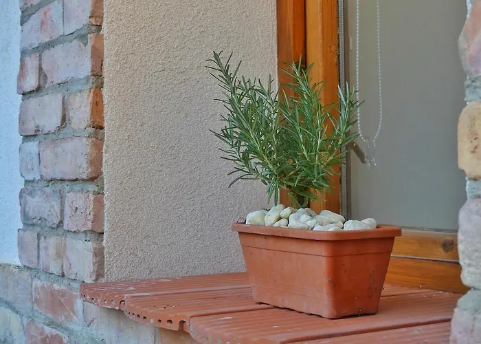 Apartamento Csuecsoek Vendeghaz